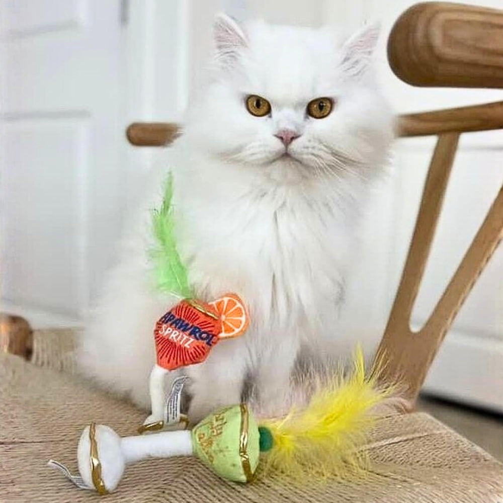 Haute Diggity Kitty organic-catnip-filled-toy provides aromatic thrills and paws-on fun.