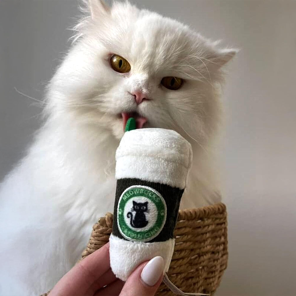 Haute Diggity Kitty playtime scene showing catnip-filled fun