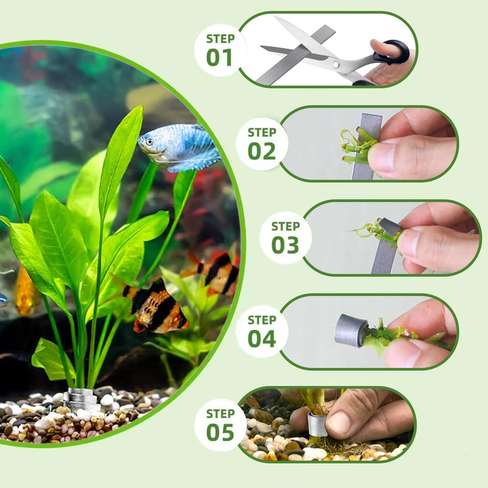 HAVANSIDY weights dimensions help tailor to plant size