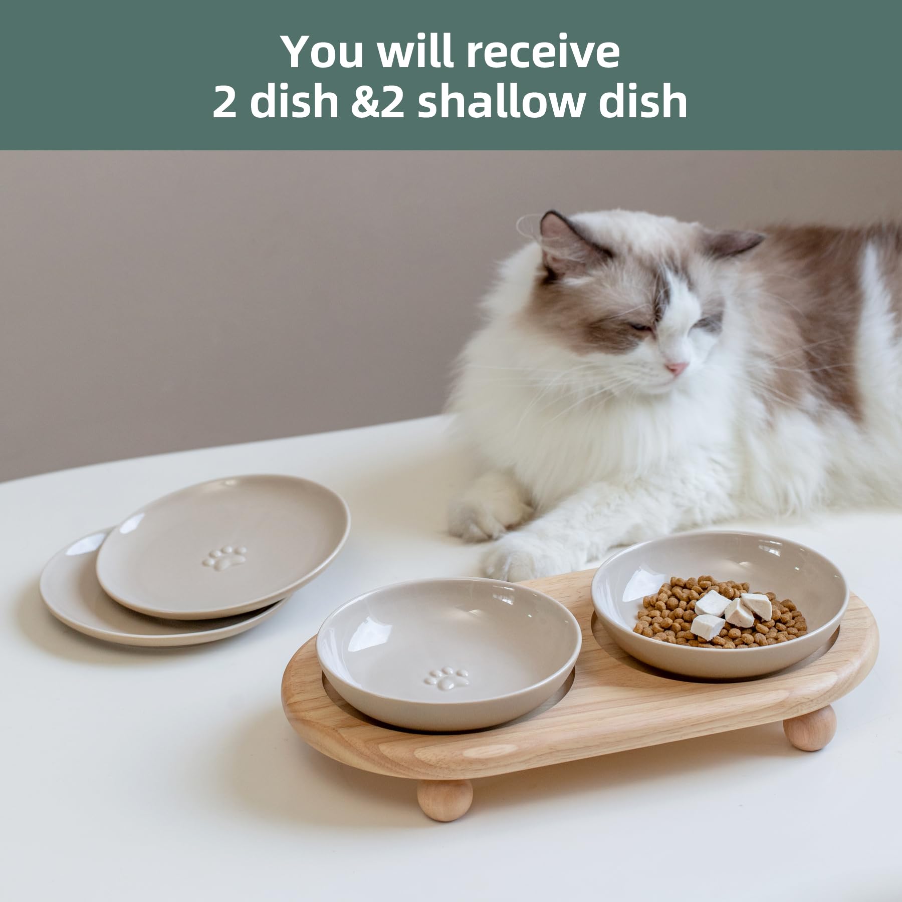 Havniva multi-cat feeding setup supports shared meals with style.