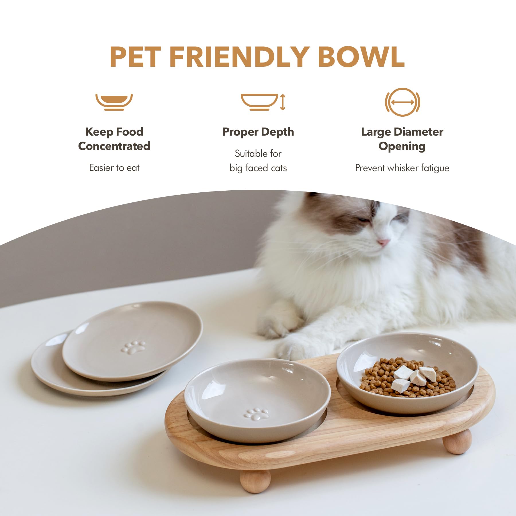Havniva lead-free ceramic bowls offer safe, durable feeding options.