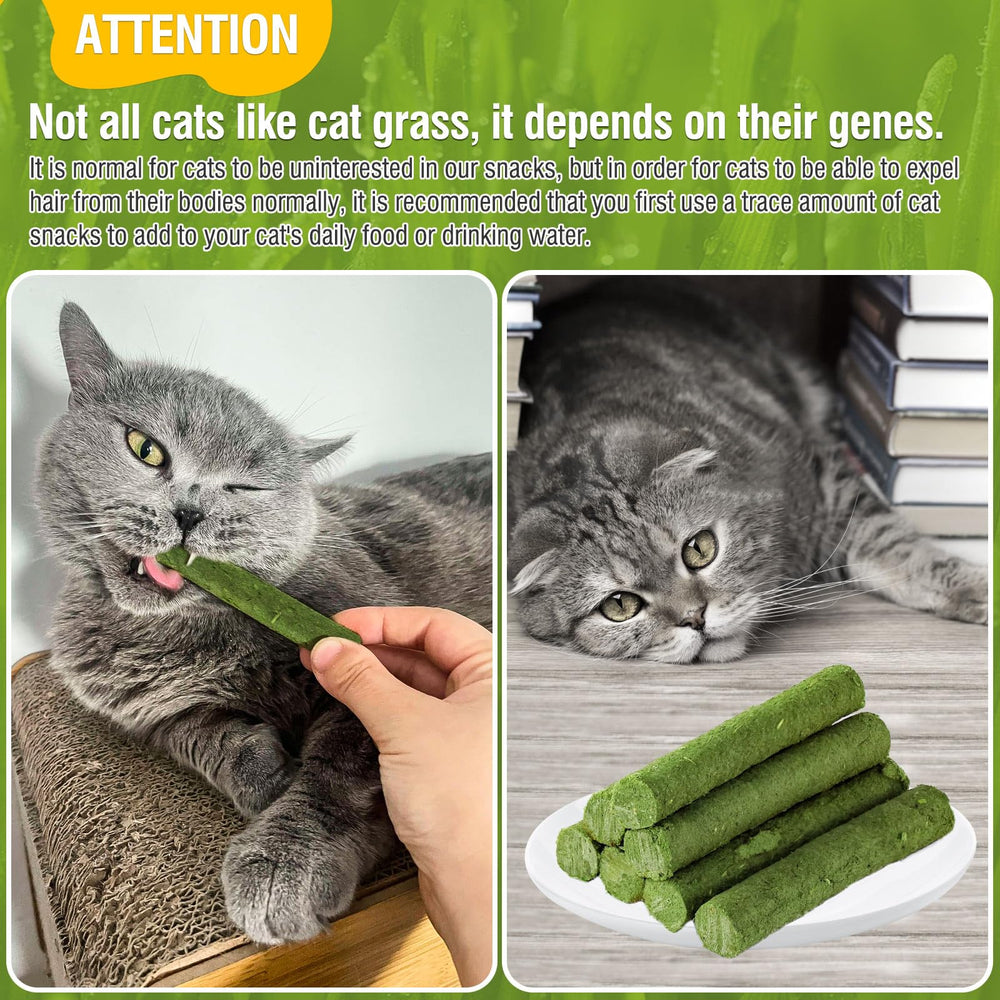 HavenJanny cat-grass-stick-cat-eating cat enjoying grass treat for hairball relief.