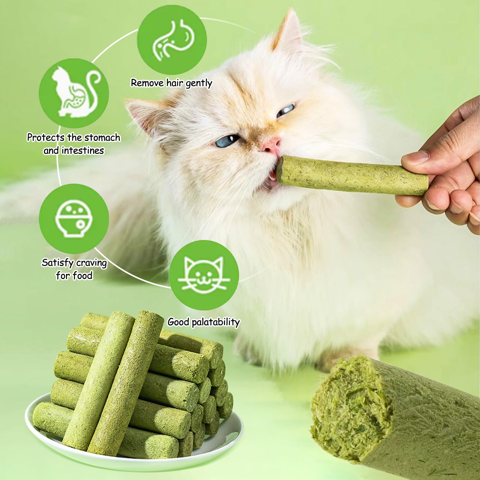 HavenJanny cat grass stick in bowl ready to serve as healthy treat.