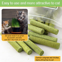 HavenJanny cat grass stick texture showing natural fibers for dental-friendly chew.