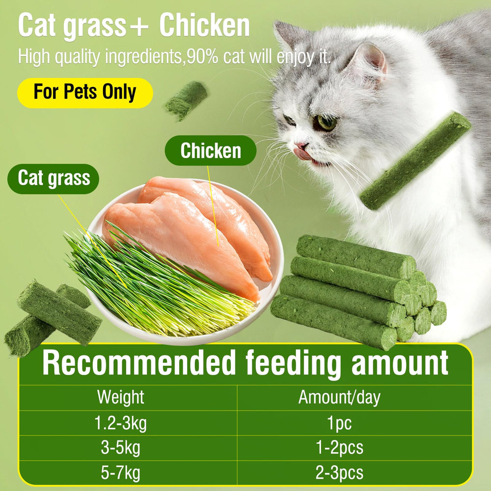 HavenJanny cat-grass-teething-stick-closeup highlights fresh grass and natural ingredients.