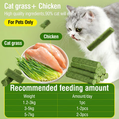HavenJanny cat-grass-teething-stick-closeup highlights fresh grass and natural ingredients.