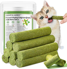 HavenJanny cat grass teething-stick package showing natural bite-friendly snack for dental care.