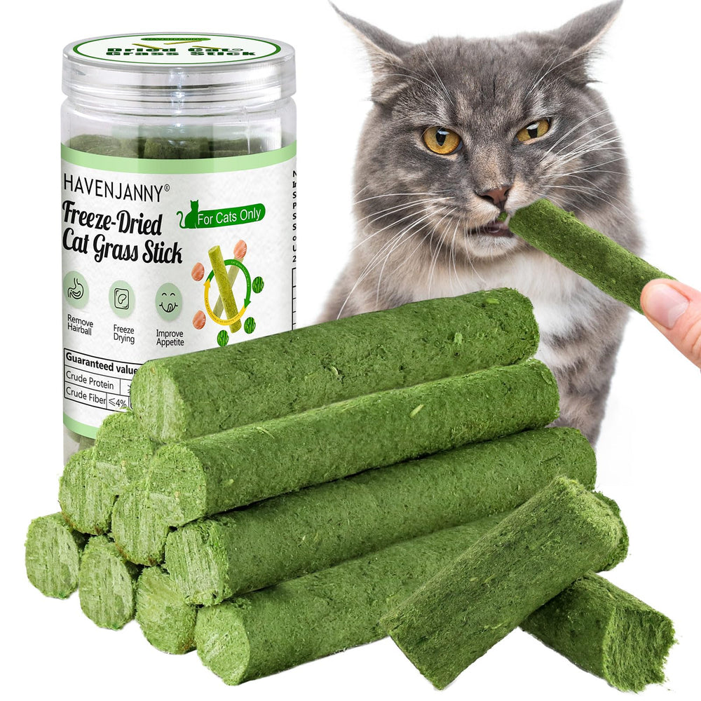 HavenJanny cat-grass-teething-stick-packaging shows crisp texture for indoor cats.