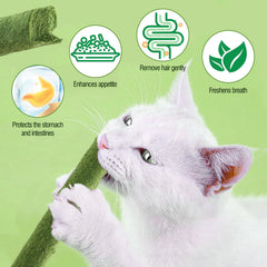 HavenJanny cat-grass-teething-stick-serving ready-to-serve snack for training or rewards.