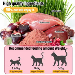 HavenJanny catgrass duo bites cranberry texture close-up, highlighting dual flavor and urinary health support.