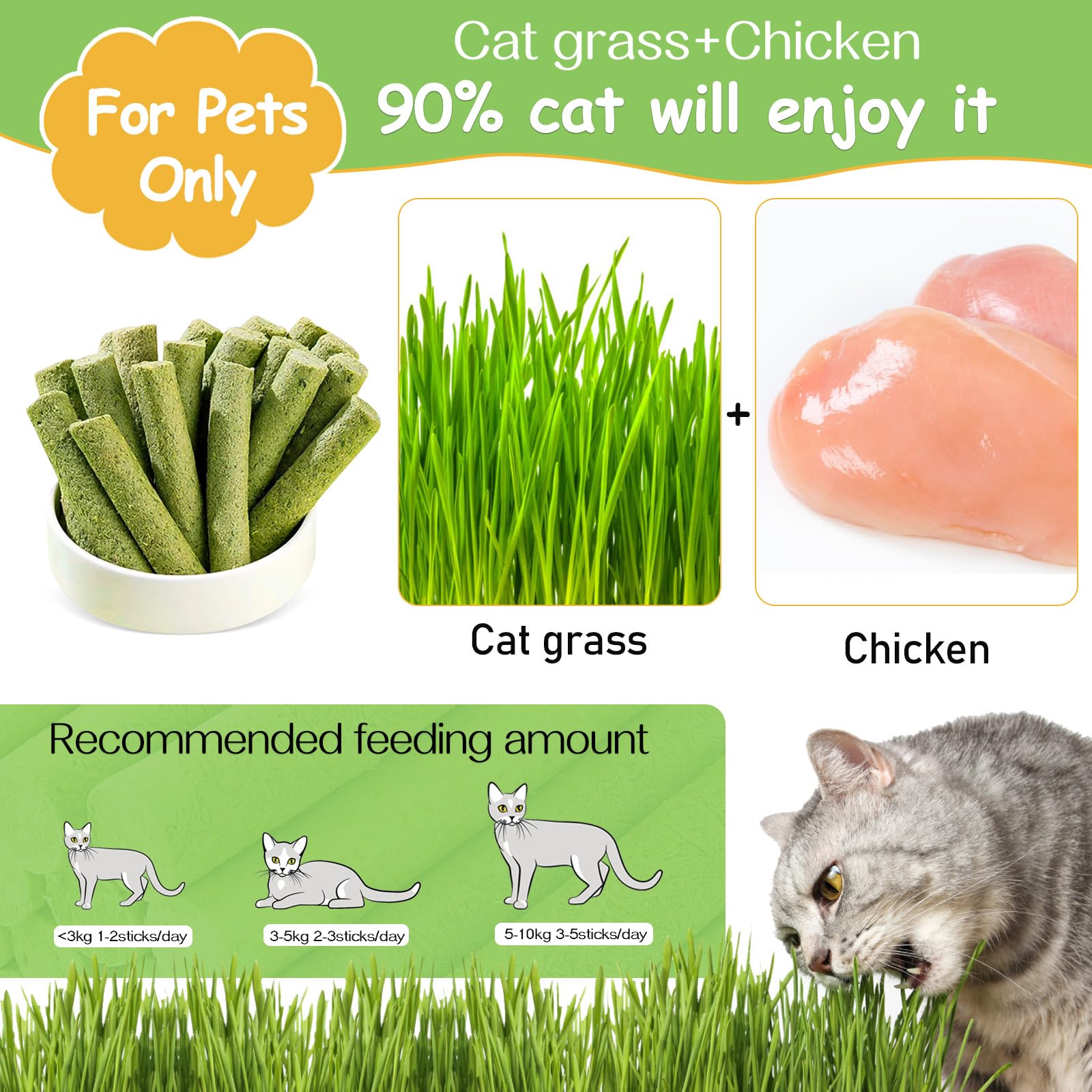 HavenJanny freeze-dried cat grass stick close-up highlighting crunchy texture for chewing.