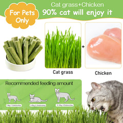 HavenJanny freeze-dried cat grass stick close-up highlighting crunchy texture for chewing.
