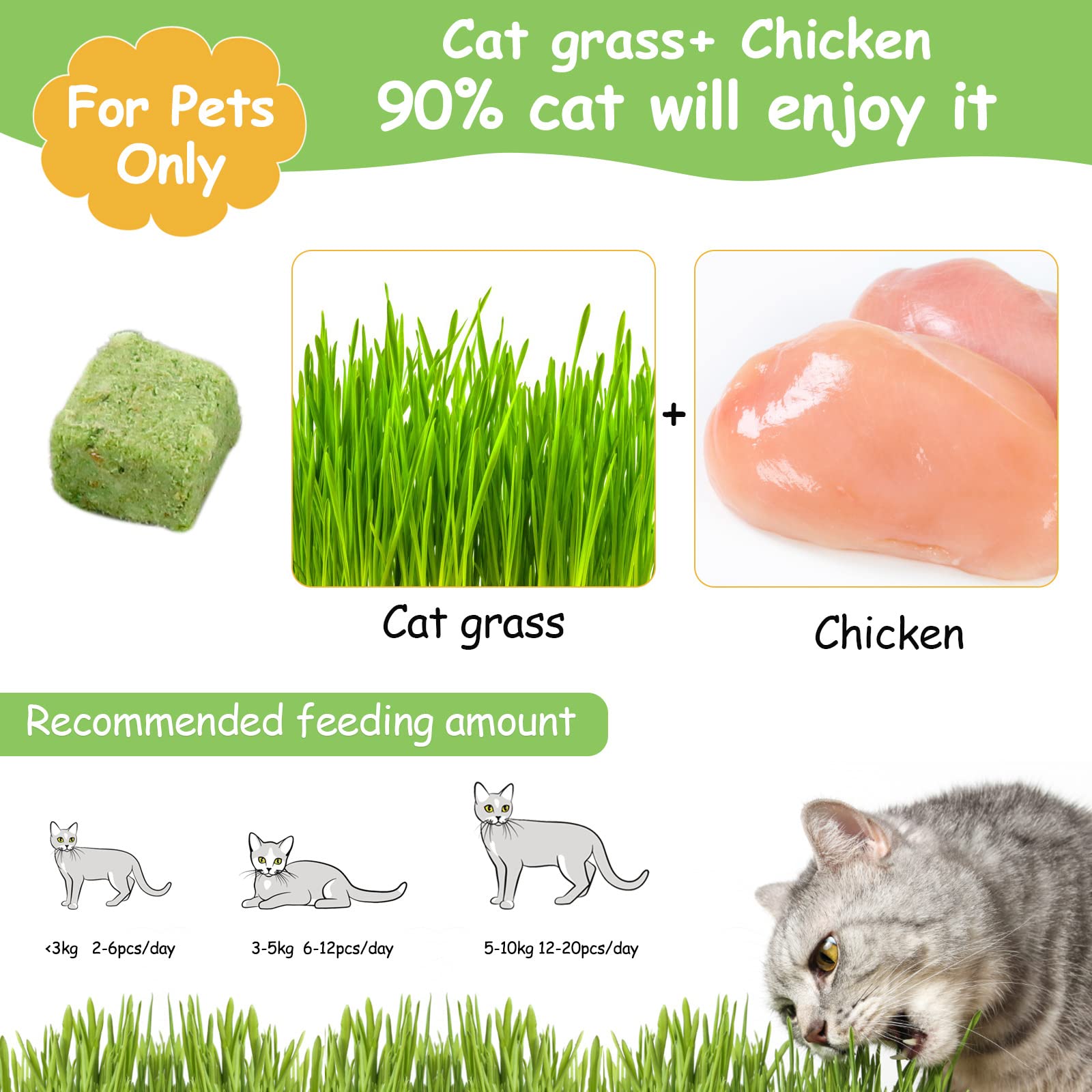 HavenJanny freezed-dried cat grass teething stick close-up highlights crunchy texture for chewing.