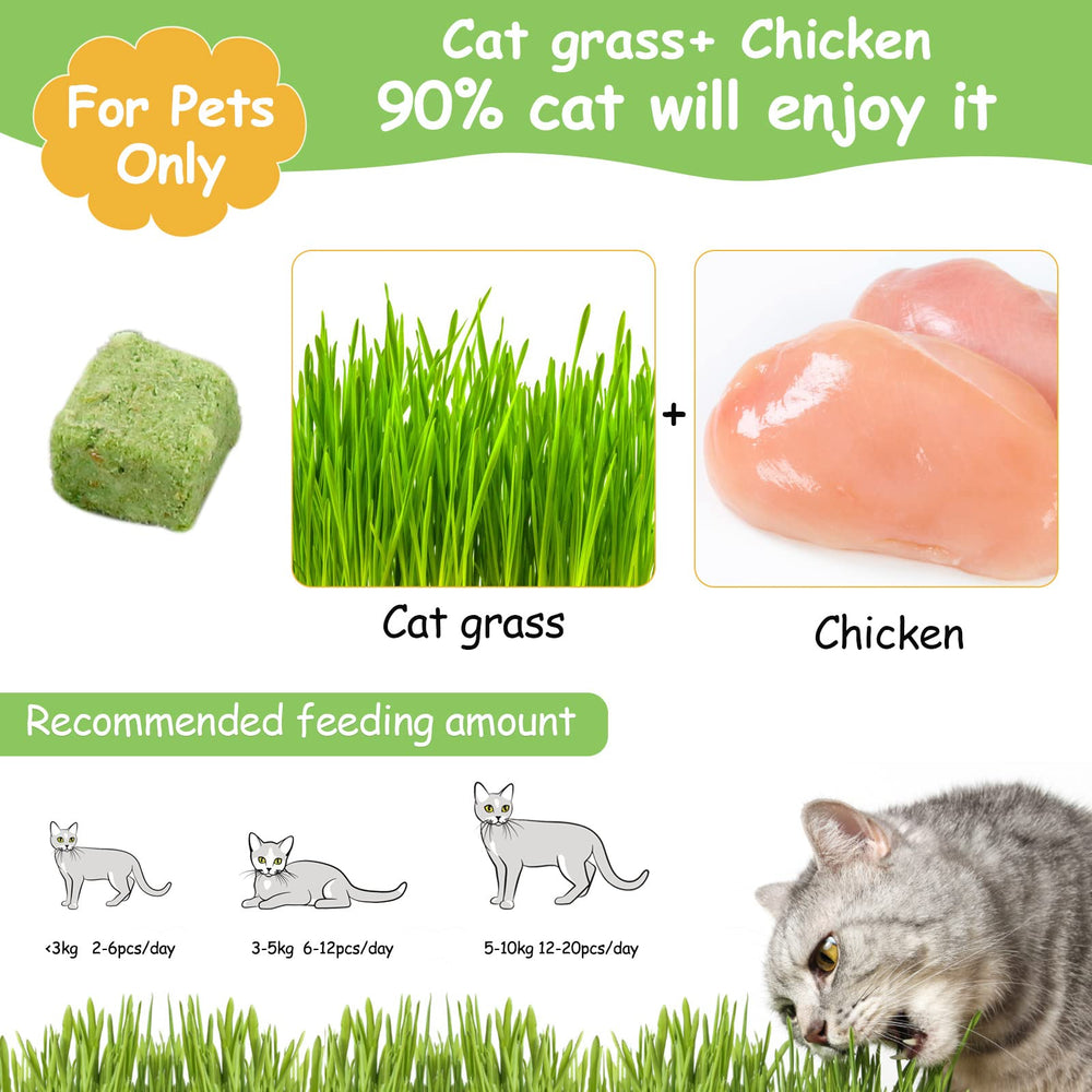 HavenJanny freezed-dried cat grass teething stick close-up highlights crunchy texture for chewing.