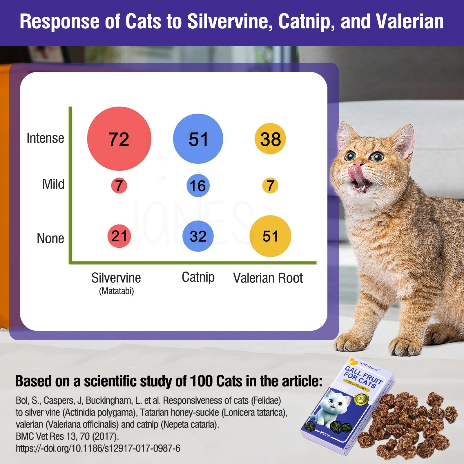 HavenJanny Silvervine Gall Fruit bite reveals appetite-boosting chew for active cats