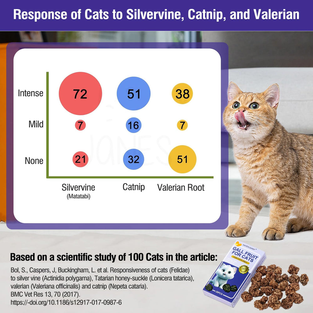 HavenJanny Silvervine Gall Fruit bite reveals appetite-boosting chew for active cats
