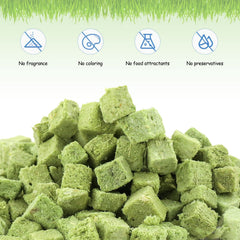 HavenJanny treats serving bowl presents ready-to-eat sticks for quick rewards.