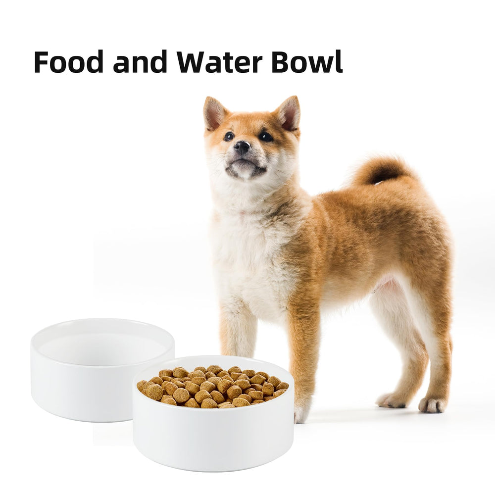 Havniva 28oz bowl suitable for dry kibble, wet food, and water.