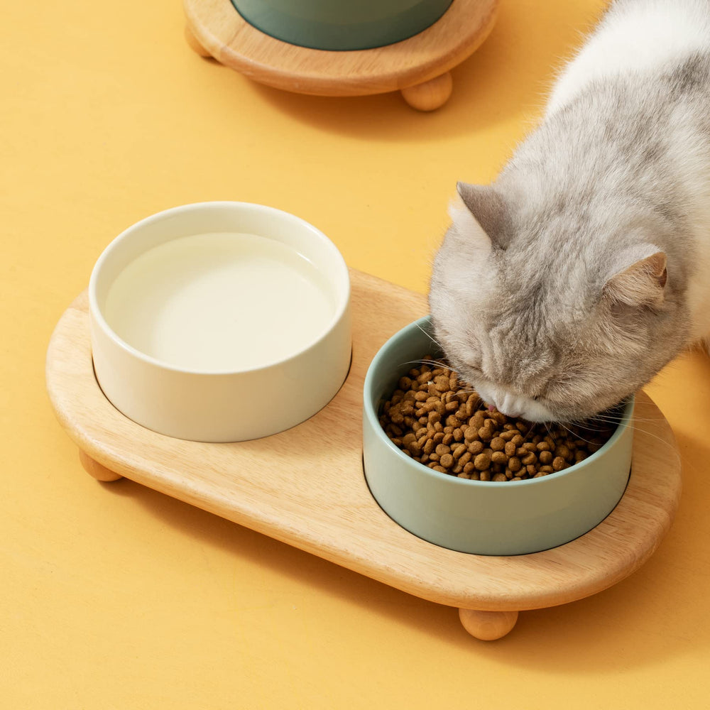 Havniva ceramic elevated cat bowl care-wash-ready for busy households