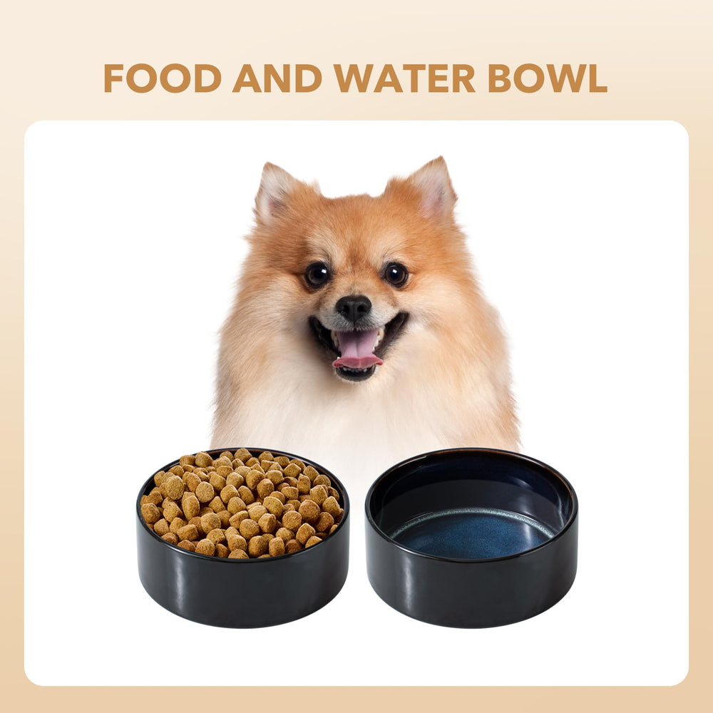 Havniva starry sky bowl in use supports measured portions for pets.