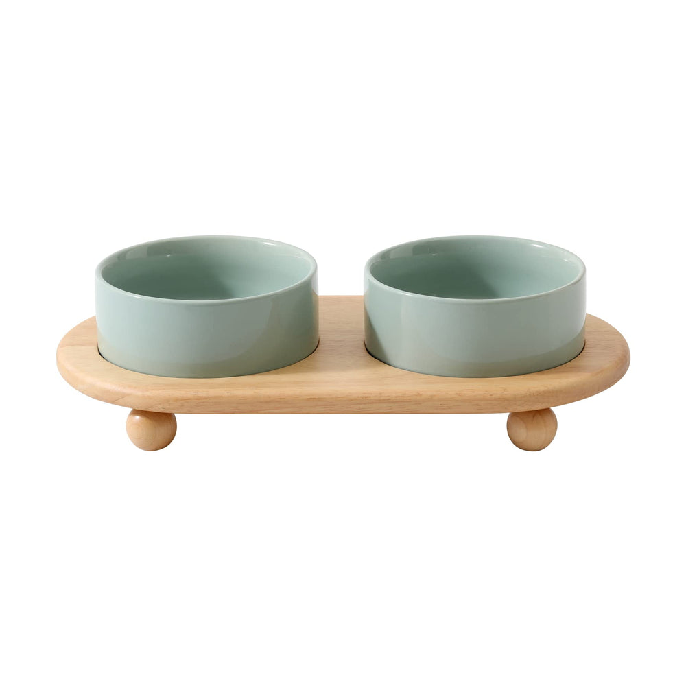Havniva ceramic elevated cat bowl on stand in light green for comfortable feeding.