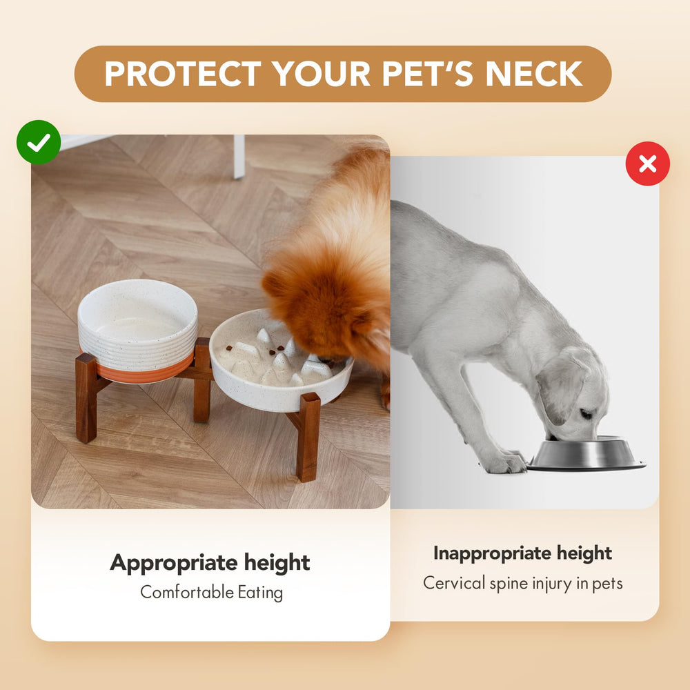 Havniva two-bowl set with stand ready for convenient dual-dog meals.