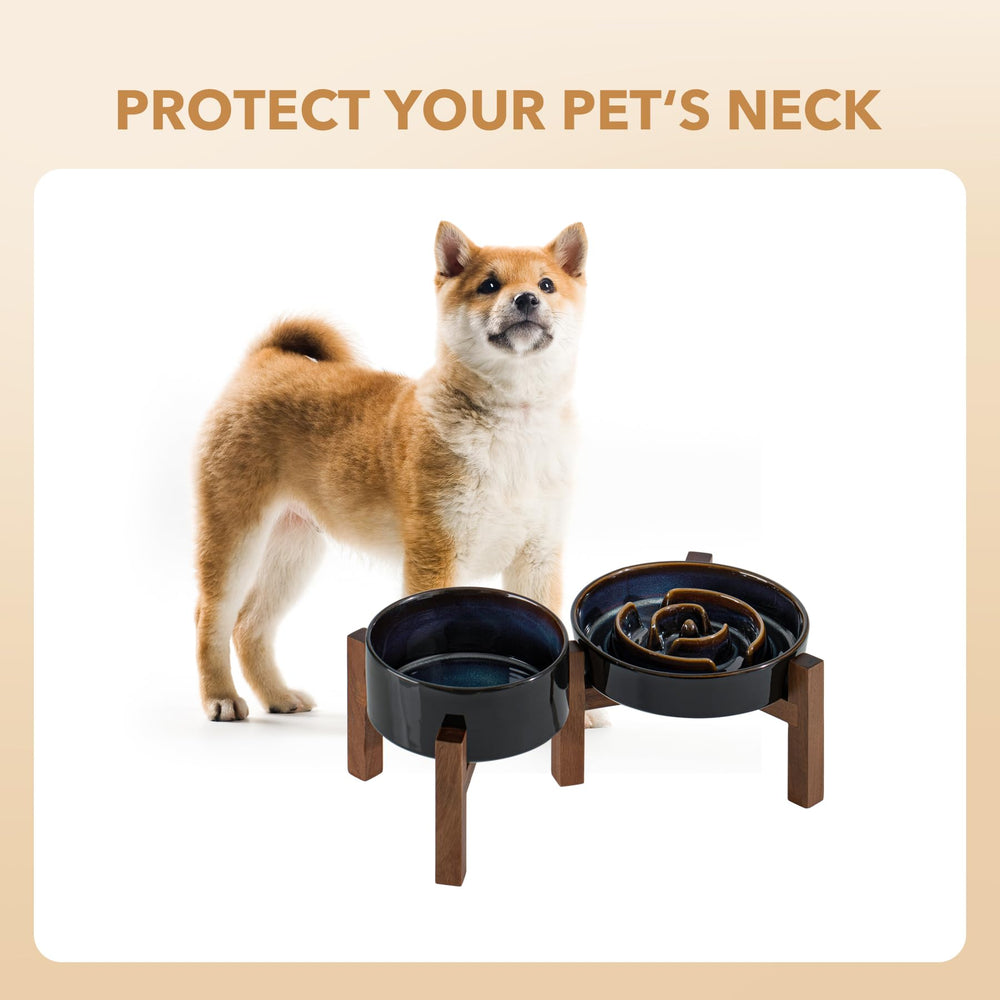 Havniva dog meal-time setup suited for small to medium dogs.