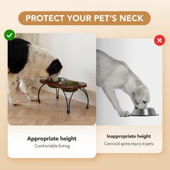 Havniva dual bowls for food and water for medium dogs.