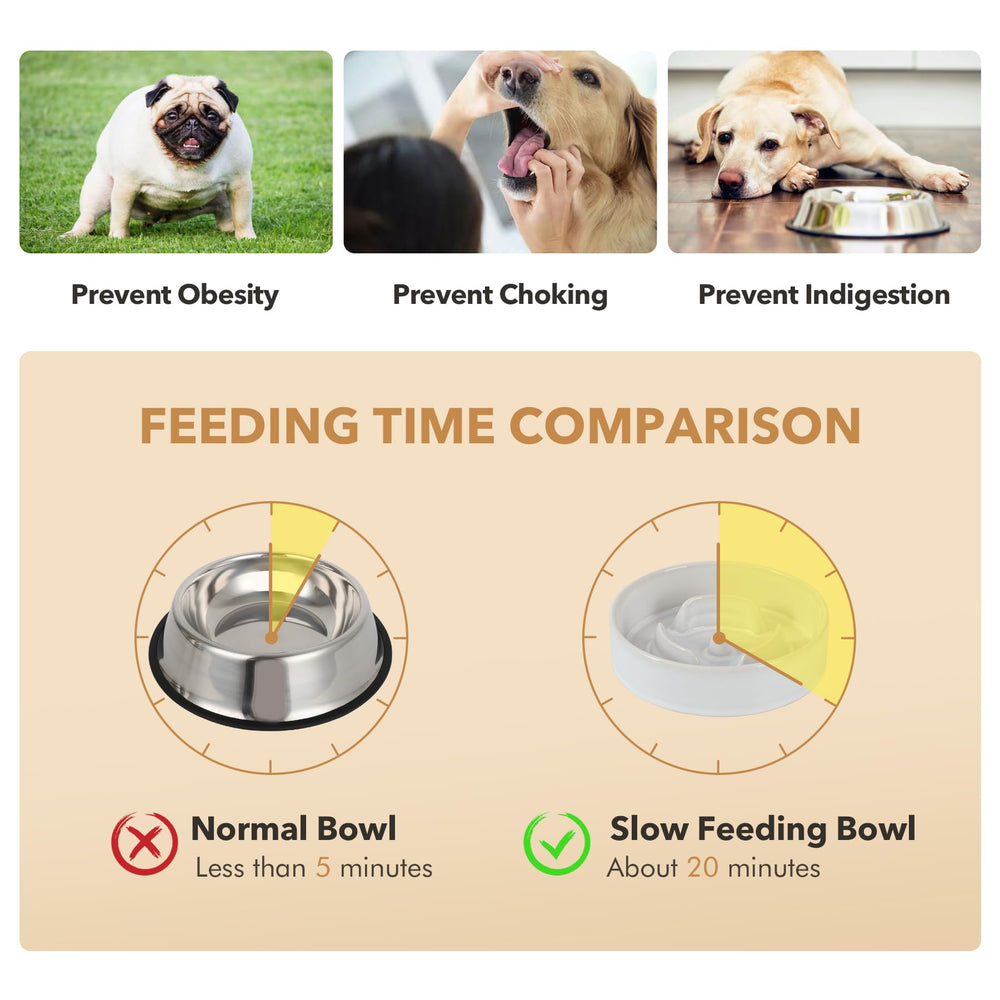 Havniva dual-bowl elevated setup supports hydration and portioning.