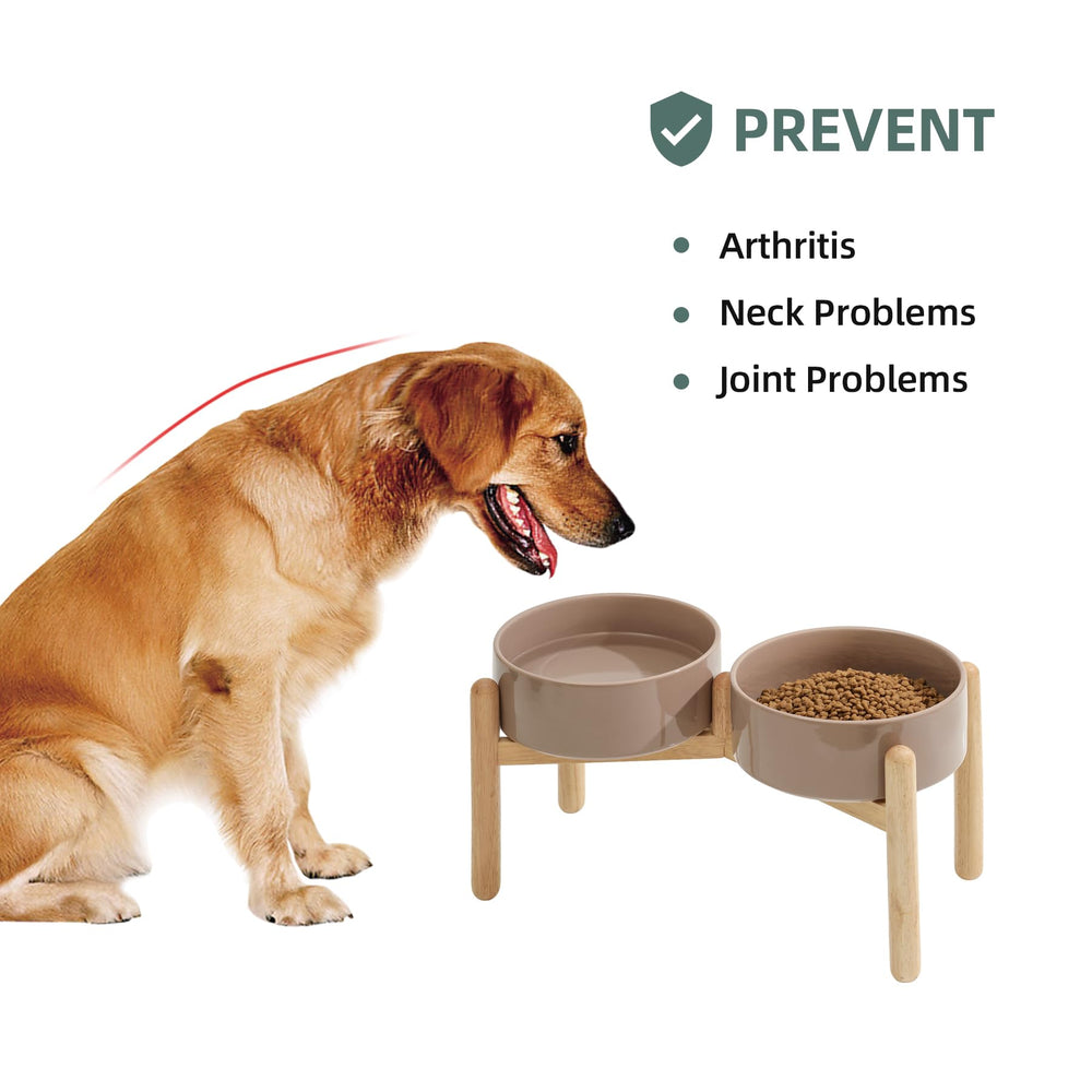 Havniva ceramic pet dish with non-slip stand—keeps bowls steady during water and food.