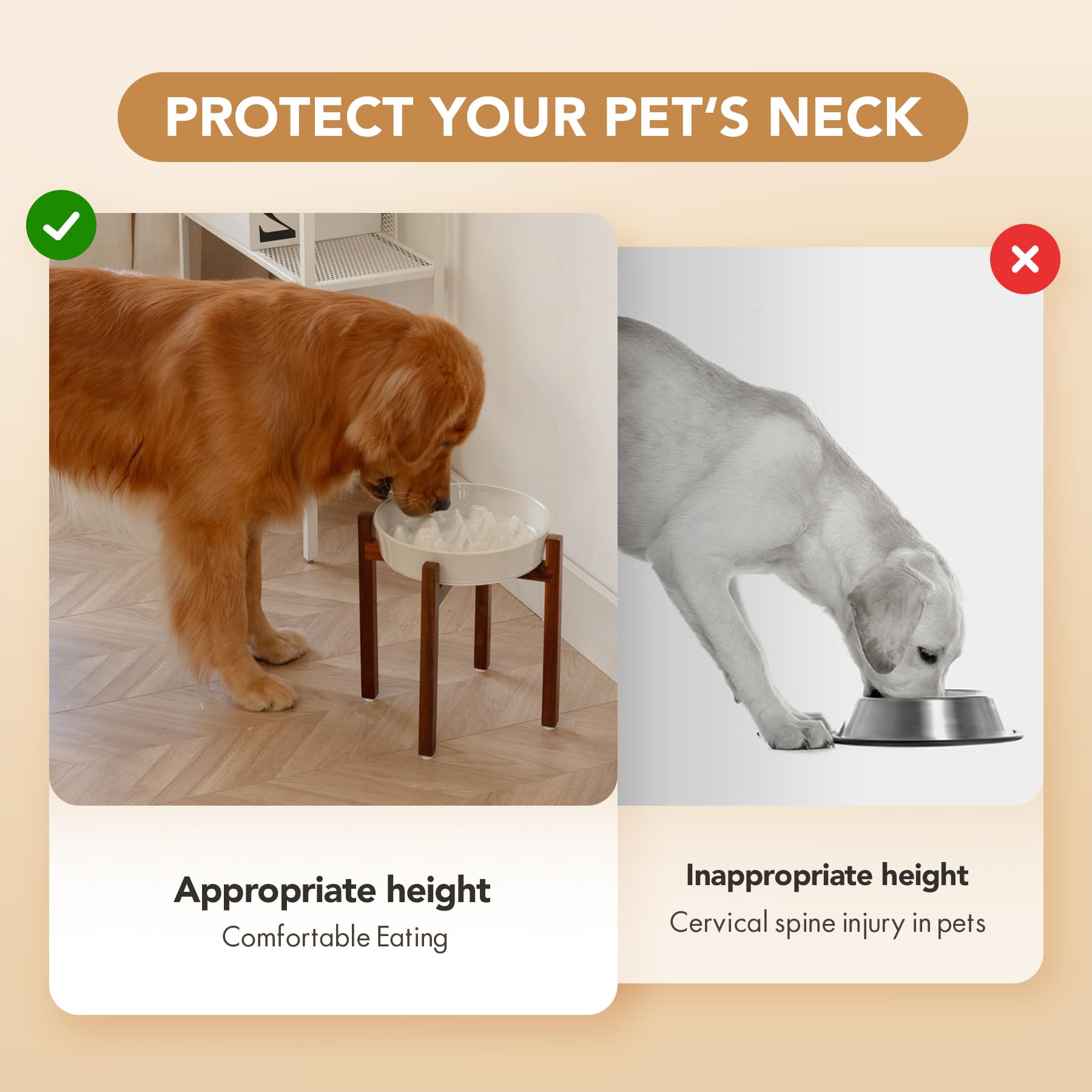 Havniva large-dog feeding setup suits big breeds without crowding.