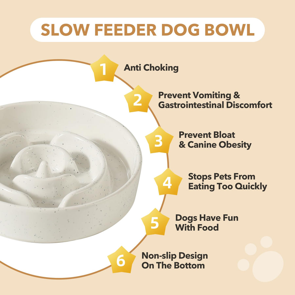 Havniva large-dog mealtime with ceramic bowl design and color