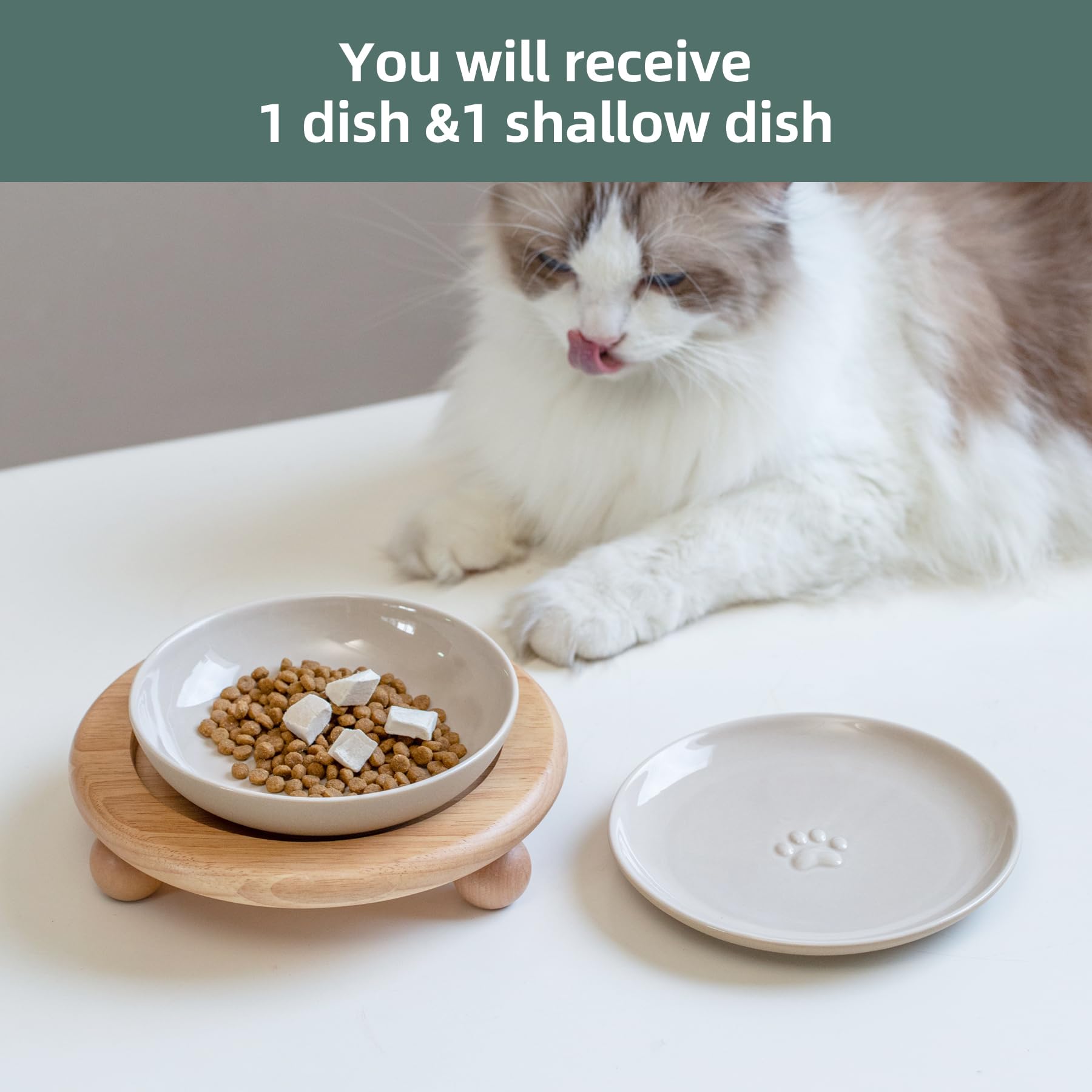 Havniva meal-height adjustable pet bowl setup suitable for various spaces