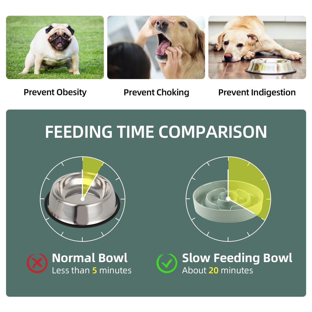 Havniva slow feeder bowl in a dining scene demonstrates mess-free feeding