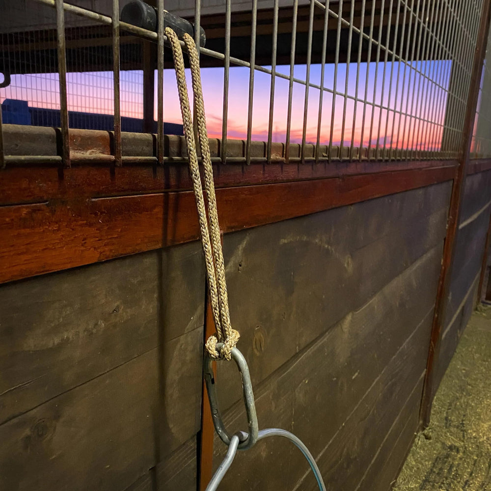 Hay Chix horse bucket strap coordinates with hay nets for a coordinated barn setup.
