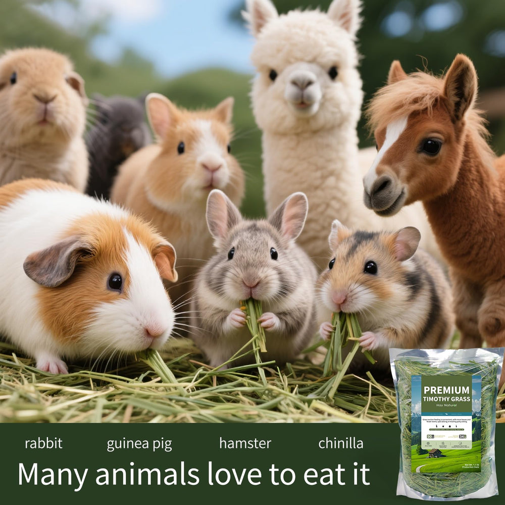 Hay Natural rabbit and guinea pig-friendly hay aroma hints at acceptability.