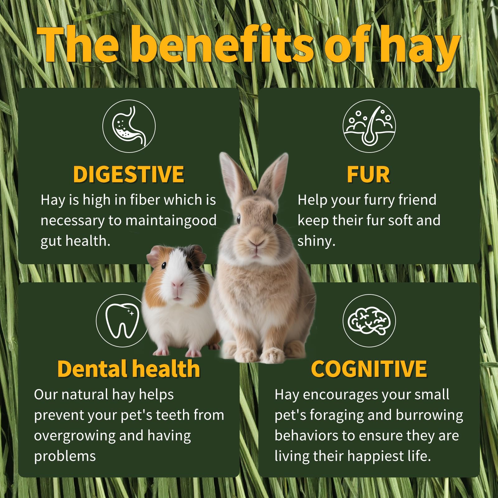 Hay Natural low-dust processing image suggests reduced mess during feeding.