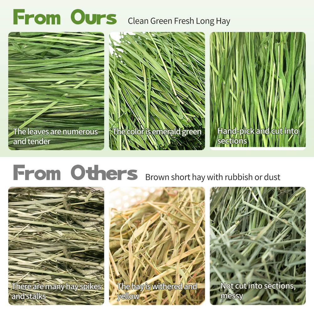 Hay Natural pesticide-free timothy hay image emphasizes clean growing conditions.