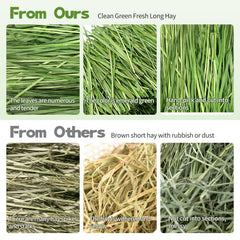 Hay Natural pesticide-free timothy hay image emphasizes clean growing conditions.