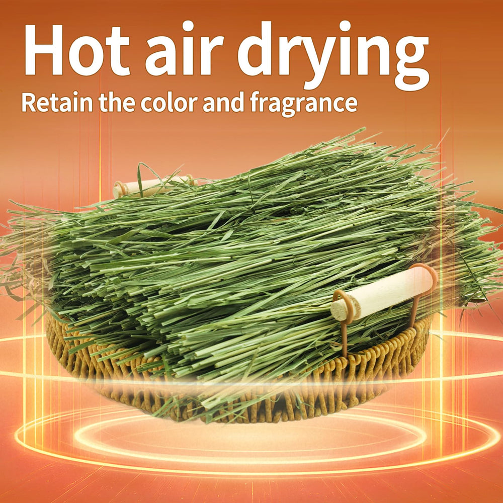 Hay Natural tender leaves ideal for daily nibbling and enrichment.