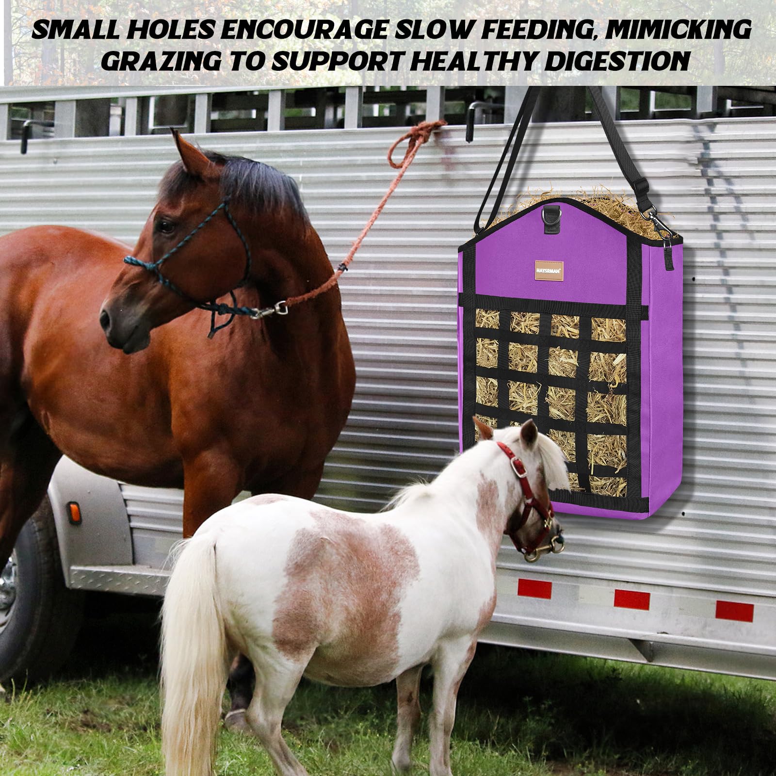 HAYSRMAN slow-feeding design promotes natural grazing rhythms during mealtime