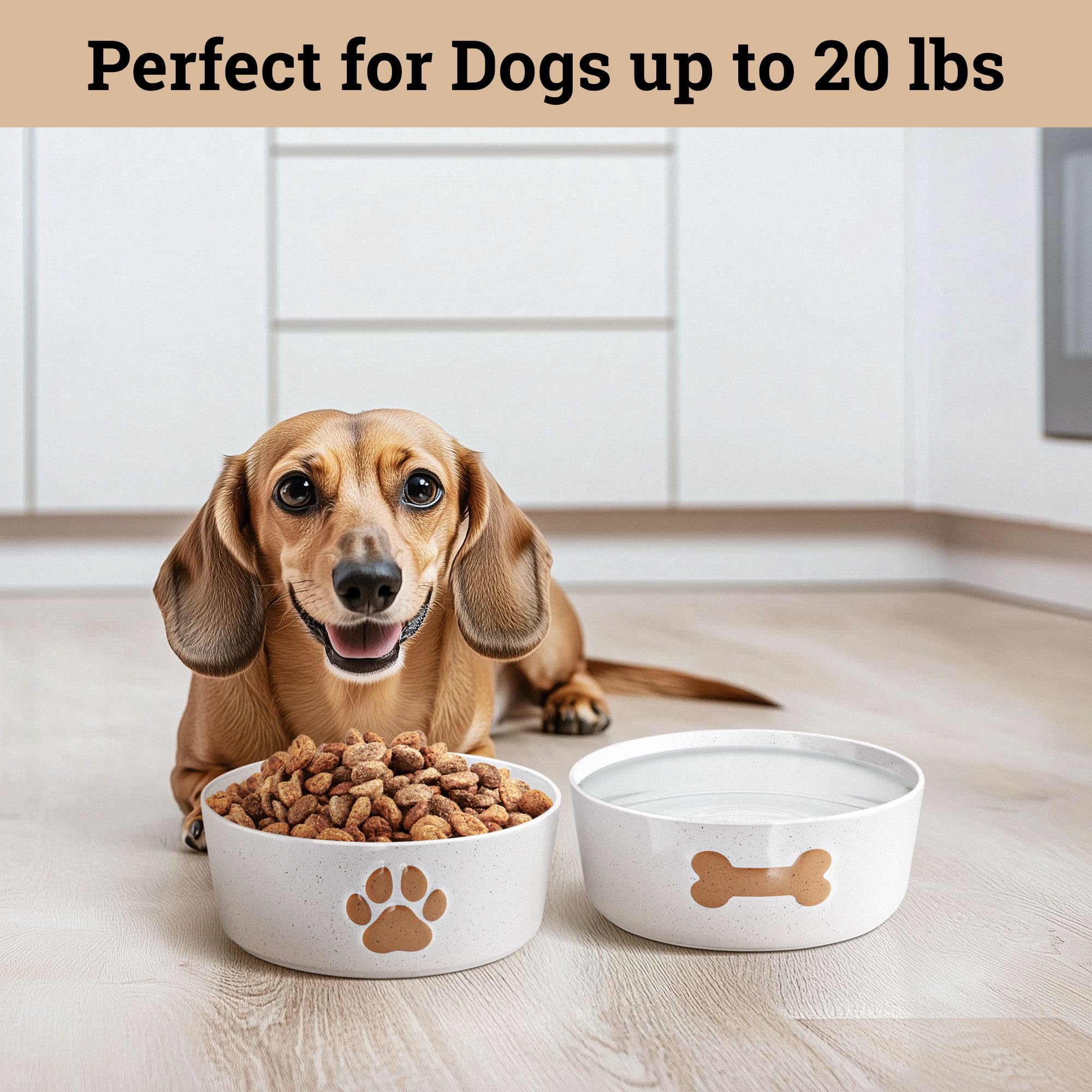 HB Design Co 5-inch bowls fit small dogs up to 20 pounds.