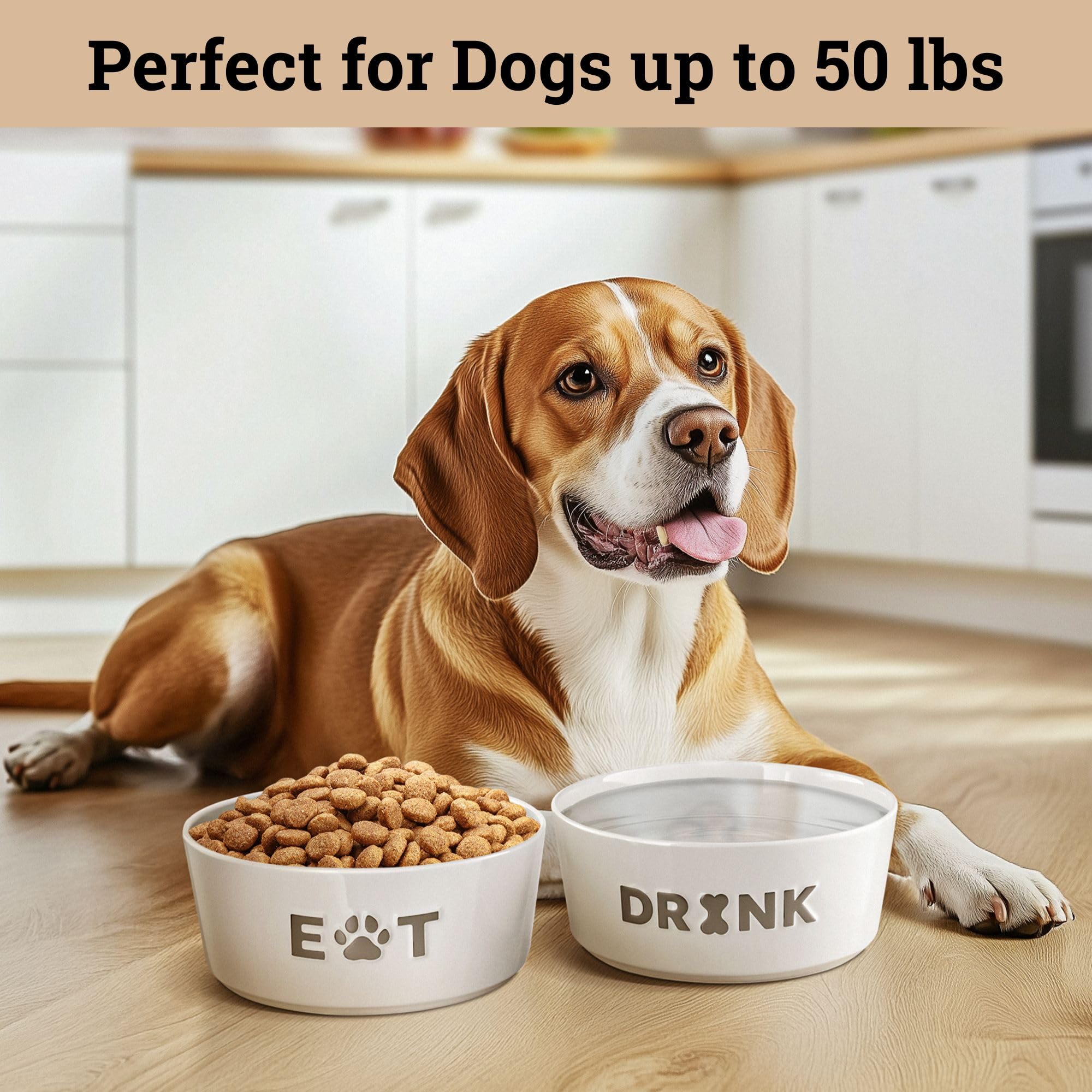 HB Design Co decorative white ceramic bowls brighten kitchens or pet stations