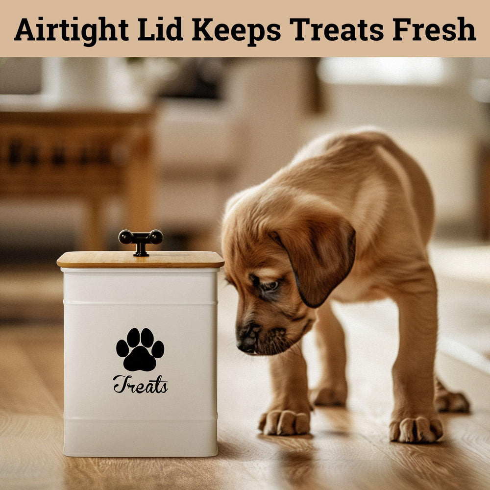 HB Design Co dog treat container shows 12-cup capacity for variety of treats