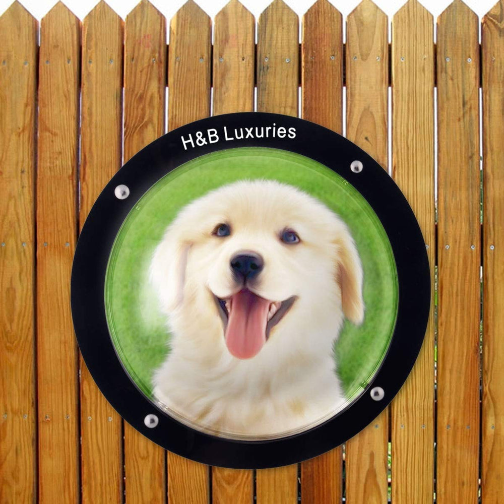 H&B Luxuries pet peek window helps curious dogs observe outdoors safely.