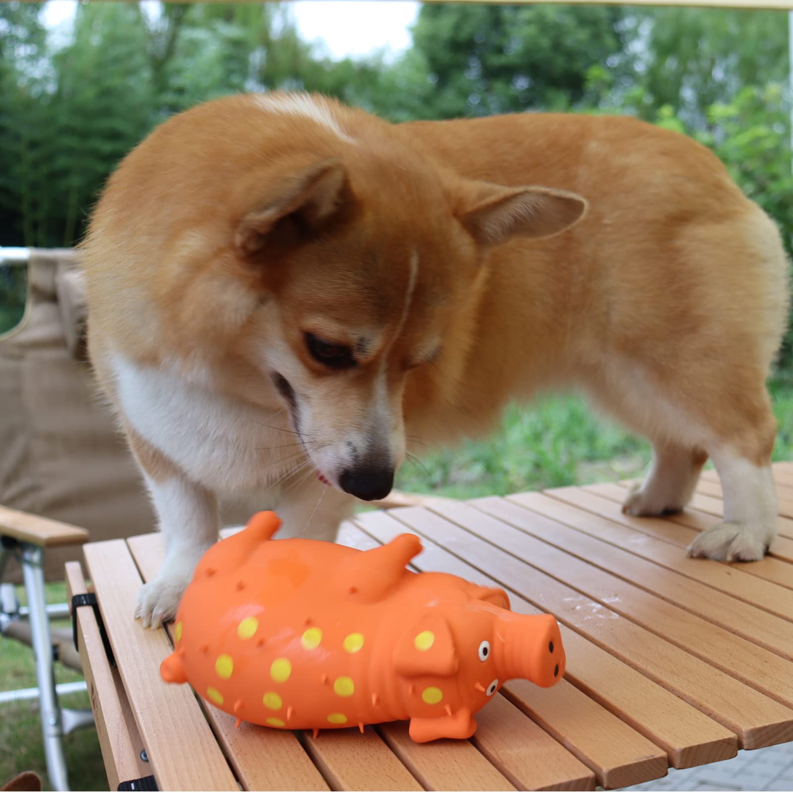 HCHYEY pig squeaky toy closeup squeaker adds fun noise