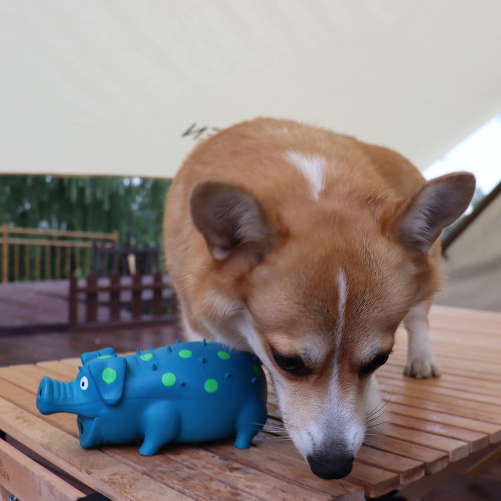 HCHYEY Pig Squeaky Toy color-variants offers six color combos