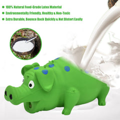 HCHYEY pig squeaky toy green close-up highlights safe material