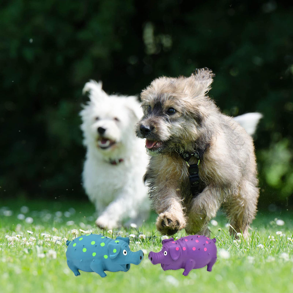 HCHYEY Pig Squeaky Toy outdoor play ready for adventures