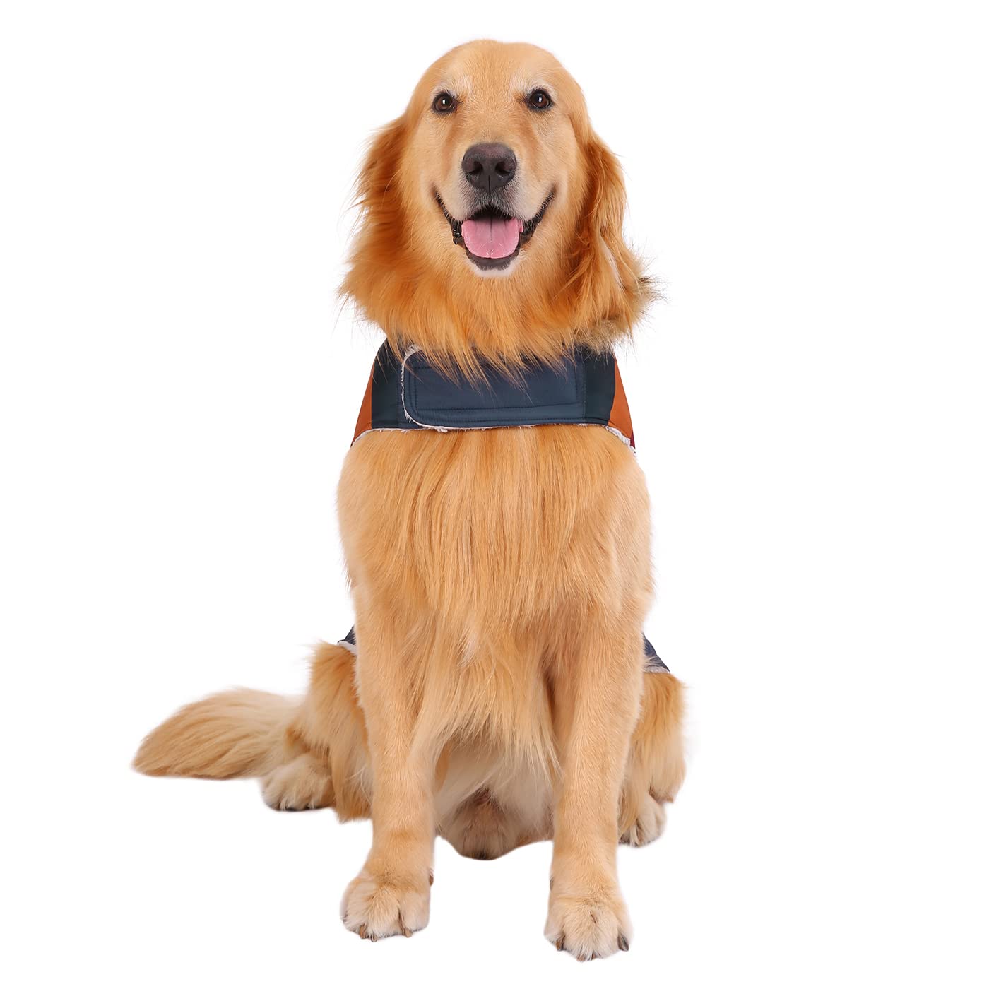 HDE fleece-lined interior keeps your dog warm on cold outings.